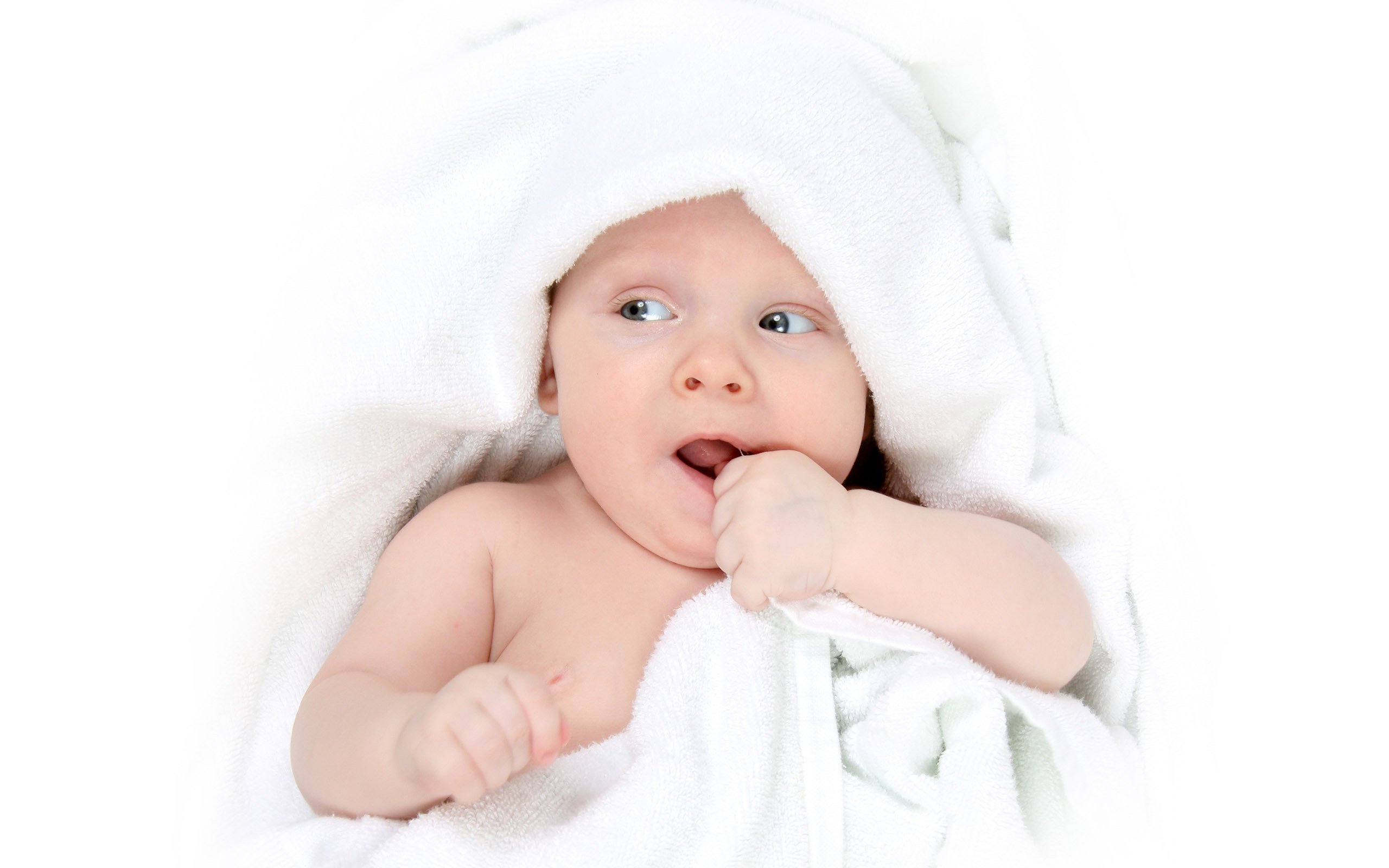长春供卵医院捐卵的试管婴儿移植成功率